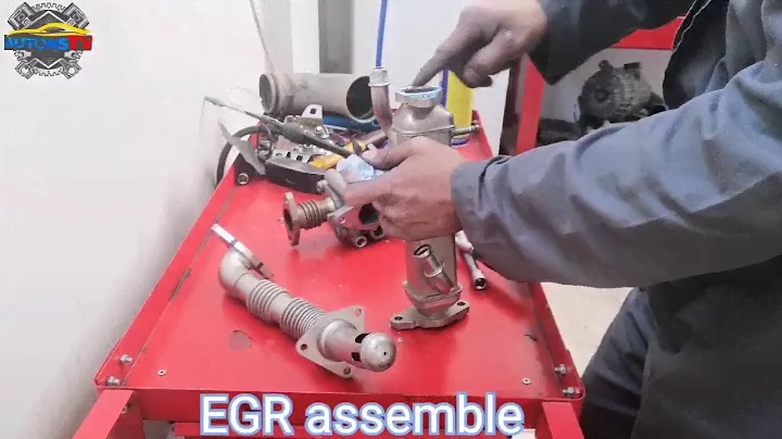 Fiat ducato/ EGR valve cleaning full guide.