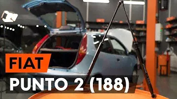 Как заменить амортизатор багажника на FIAT PUNTO 2 (188) [ВИДЕОУРОК AUTODOC]