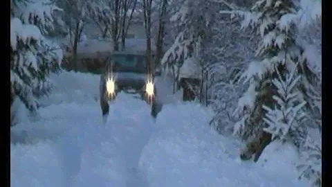 FIAT ALBEA in Russia