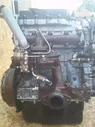  F1AE0481C FIAT Ducato