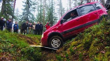 Фиат панда внедорожник, не не слышал. Fiat Panda off-road, you are crazy!!! 50 cars in the forest