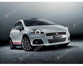 Ангельские глазки на Fiat Punto