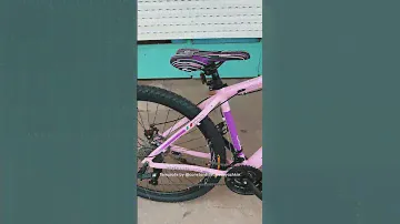 Bicicleta Fiat 500 rodado 29